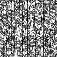 an abstract black and white background with lines in the form of leaves, which are drawn by hand