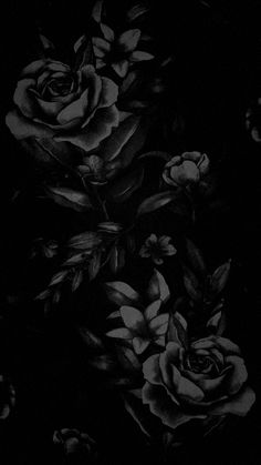 black and white photograph of roses in the dark