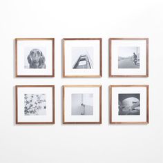 six framed photographs hang on the wall