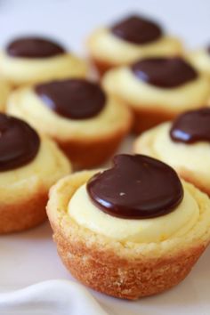 small cupcakes with chocolate frosting sitting on a plate