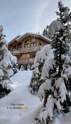 snow covered pine trees in front of a large wooden building with balconies and balconies on the second floor