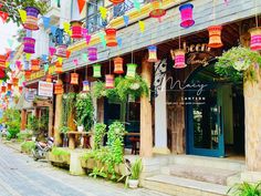 many colorful lights hanging from the side of a building in front of a sidewalk with potted plants