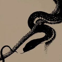 a black and white drawing of a snake