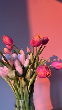 Tulips Pink Aesthetic, Pink Tulip Wallpaper, Aesthetic Tulips Wallpaper, Tulips Aesthetic Wallpaper, Tulipanes Aesthetic, Iphone Lockscreen Aesthetic, Tulip Aesthetic, Girlie Aesthetic, Tulip Wallpaper