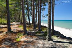 the beach is surrounded by pine trees and blue water