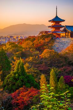 the pagoda is surrounded by colorful trees and foliage