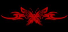 a red butterfly with black background