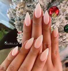 35 Short Stiletto Nails With Classy and Trendy Designs Very Pointy Nails, Petite Almond Nails, Pointy Natural Nails, Short Stelito Nails French Tip, Rounded Pointy Nails, Nude Stiletto Nails Short, Cute Short Stilleto Nails Designs, Point Almond Nails