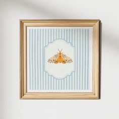 a framed photograph of a moth on a striped blue and white wall with a wooden frame