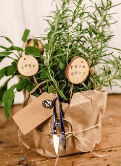 a plant in a bag with some scissors and tags attached to the handle, sitting on a wooden table