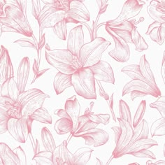 seamless floral pattern with pink flowers on white background stock photo - 957982