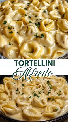 Tortellini Alfredo How To Make Tortellini, Green Bean Casserole Campbells, Tortellini Alfredo, Tortellini Recipe, Cheesy Pasta Recipes, Creamy Tortellini, Tortellini Recipes, Tortellini Pasta, Easy Pasta Dishes