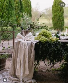 the table is covered with white cloths and green plants, along with wine bottles