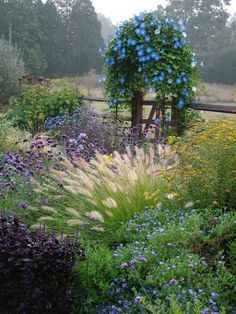 a garden filled with lots of purple and blue flowers