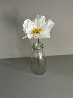 a single white flower in a clear glass vase