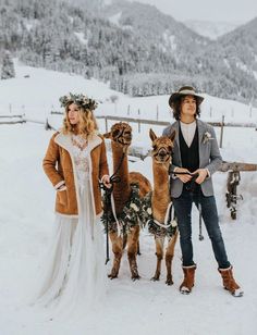 two people standing next to llamas in the snow with flowers on their heads