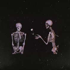 two skeletons standing next to each other in the dark with one holding a small flower