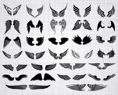 a large set of black and white wings on a piece of paper, with different designs