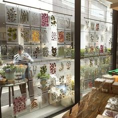 there are many different kinds of flowers on display in the store window and behind them is a wooden bench