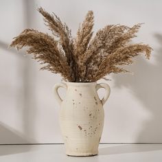 a white vase with some brown plants in it