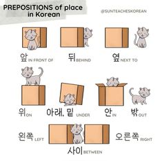 the prepositions of place in korean words with pictures of cats and kittens