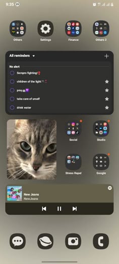 an image of a computer screen with a cat in the center and other icons on it