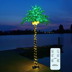 a lighted palm tree next to a body of water with a remote control on it