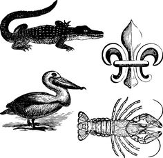 four different types of alligators and sea animals, vintage line drawing or engraving illustration