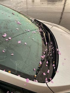 a white car with pink flowers on the windshield