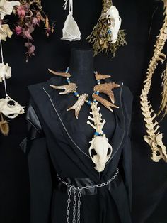 Have a Look at This Huge Tribal Raccoon Skull Necklace! It is Made With 4 Real Knarled Deer Antler Forks and Two Points. There are 4 Real Coyote Vertebrae Bones Above The Skull. The Skull is in Nice Condition, It is Missing a Few Teeth. It is Strung on Blue Leather And Beaded With Blue and Gold Beads. This Necklace is Adjustable From 22 - 26 Inches. All Items Ship Within 1-3 Days via USPS Ground Advantage Service. Shipping on these will be 5.50 (USA Only) All additional items are FREE! I Am Only Offering International Shipping To Canada Right Now, I Apologize as Customs Overseas is Growing Evermore Difficult With Bones and Skulls. Canada 25.00 + 2.00 For Each Additional Item. I DO NOT Carry Human Bones or Any Sort of Illegal Items. And As Etsy Sellers, We Are Not Allowed to Sell Domesticat Real Bone Jewelry, Animal Bone Jewelry, Raccoon Skull, Witch Necklace, Human Bones, Witch Doctor, Real Bones, Bone Necklace, Bone Jewelry