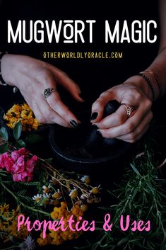 How To Grow Mugwort, Mugwort Oil Recipe, How To Use Mugwort, Burning Mugwort Benefits, Transmutation Herbs, Mugwort Witchcraft, Mugwort Bath, Mugwort Benefits, Mugwort Oil