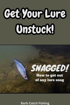 the cover of get your lure unstuck how to get out of any lure song