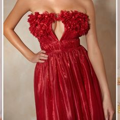 Like New Red Sleeveless Dress With Floral Applique, Backless Red Dress With Built-in Bra, Alamour The Label, Feminine Red Rose Print Dress, Like New, Maxi Dress, Womens Dresses, Red, Dresses