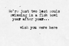 a black and white photo with the words we're just two lost souls swimming in a fish bowl year after year wish you were here