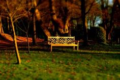 a white bench sitting in the middle of a park next to some trees and grass