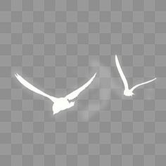 two white birds flying in the sky on a gray background