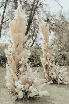 Fluffy pampas grass with white roses and wildflowers for outdoor wedding ceremony Pampas Grass Wedding Altar, Pampas Theme Party, Pampas Grass Wedding Bouquet Fall, Matrimonio Pampas, White Pampas Wedding, Pampas Wedding Arch, Pampas Wedding Decor, Retro Wedding Cakes, Boho Chic Wedding Cake