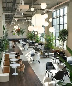 an empty restaurant with tables, chairs and potted plants on the wall in front of large windows