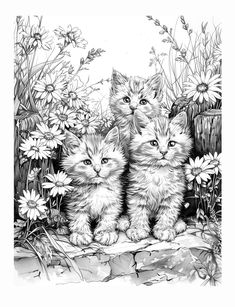 three kittens are sitting in front of some daisies