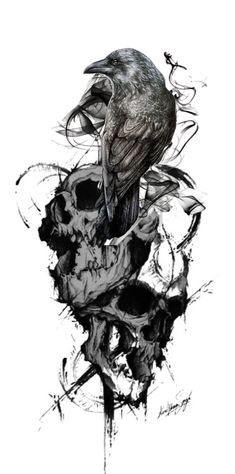 a black and white drawing of a bird on top of a human skull in ink