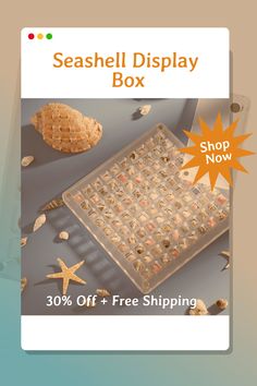 the seashell display box has 30 % off + free shipping