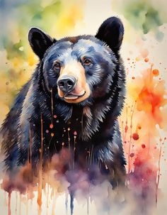 a painting of a black bear with watercolor paint splatches on it's face