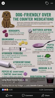 an info board with different types of medicationss for dogs and cats, including the words dog - friendly over the counter medicationss