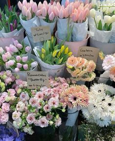 many different types of flowers in vases for sale at a flower shop with price tags on them