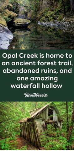 an old abandoned cabin in the woods with a quote on it that reads, opal creek is home to an ancient forest trail, abandoned ruins, and one amazing