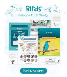 an image of birds science unit study