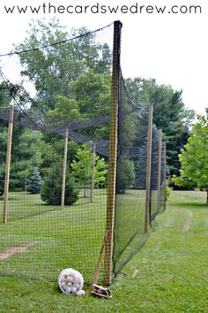 a dog is laying on the grass in front of a fenced in area with trees