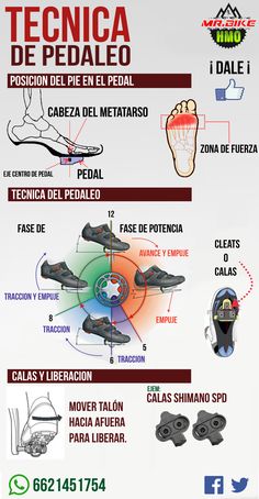 the diagram shows different types of shoes and footwear for people to wear on their feet