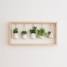 four white vases with green plants in them hanging on a wooden frame against a wall