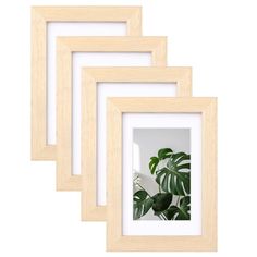 three wooden frames with a plant in the middle and one white frame on the bottom